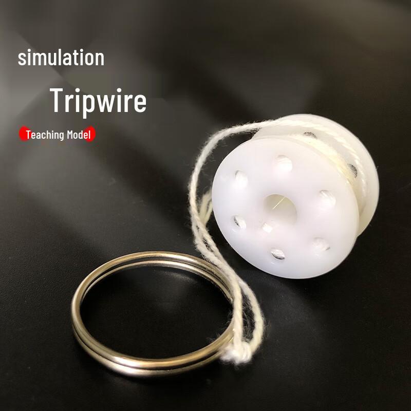 Feng Rong Simulated Explosives & Mine Training Aids