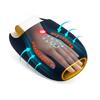 Medivon Revit Hand Massager