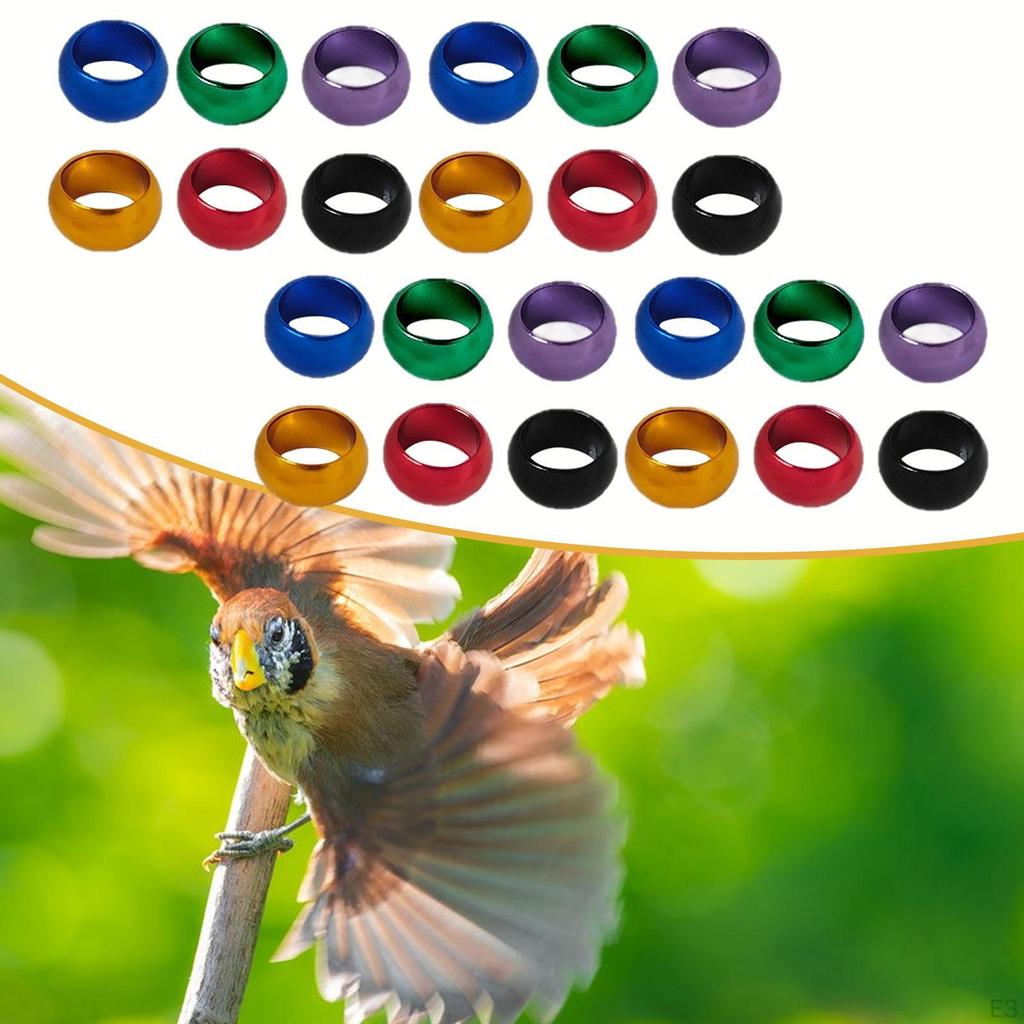 12 Pieces Dove Leg Bands Pigeon Rings Foot Tags Bird for Poultry