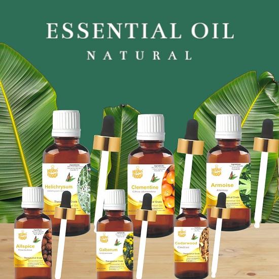 Levenmooi Parsley Leaf (Petroselinum Crispum) Pure & Natural Therapeutic Grade Essential Oil Plastic with Dropper