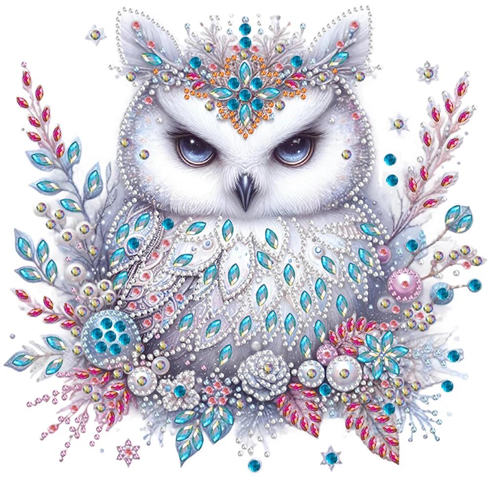 5D DIY Partial Special Shaped Drill Diamond Painting Kit Bald Owl Home Decor