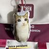 German Kitten Voice Cat Keychain Sound Hanging Decompression Reverses Plush Pendant With Sound Cute Pet Gift Voice Keyring Toy