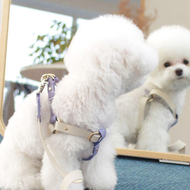 MAISON DE MIU Laufgeschirr_Weiß/Violett