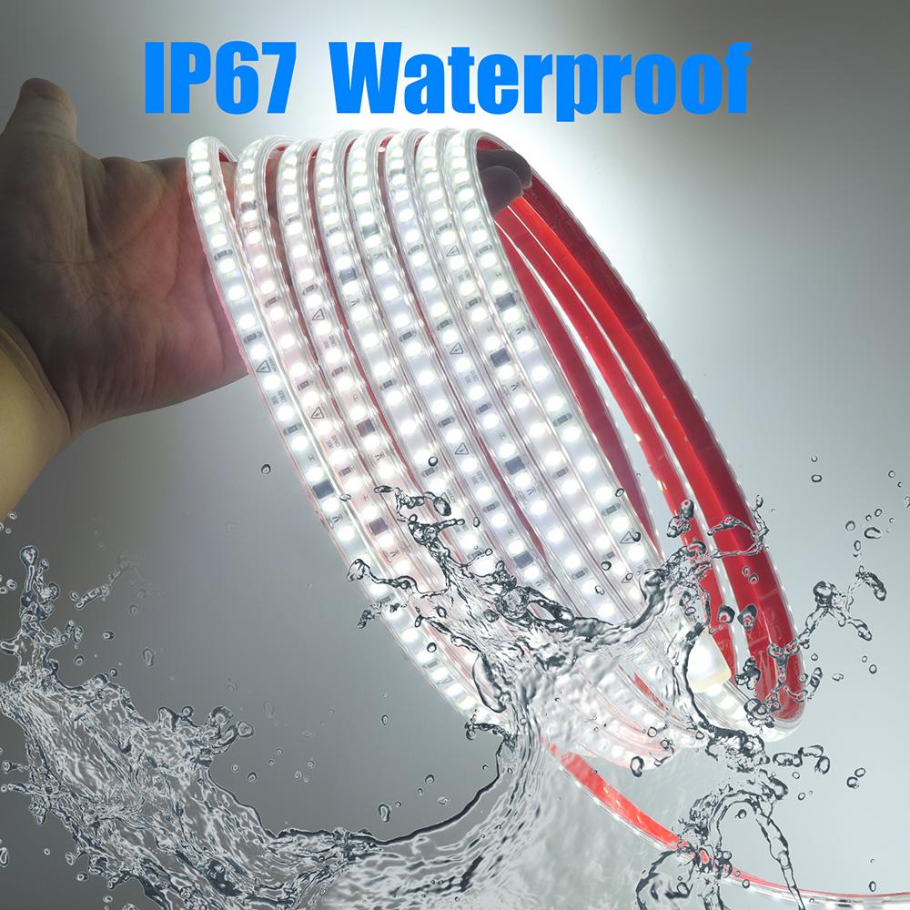 AC 2835 Led Strip Lights Dimmable 220V 230V 120 LEDs/m 0.5m 1m 2m 5m 10m 20m 50m Waterproof High Brightness Diode Tape Adhesive