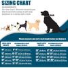 Stainless Steel Dog Chain Collar with Quick Release Buckle, Heavy Duty Anti-Rust Metal Chain Collar for Small Large Medium Dogs, Secure & Durable Dog