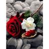 5D Diamond Painting Red Rose Flower Black and White Series Full Circle Square Diamond Inlaid Embroidery Inlaid Home Decoration