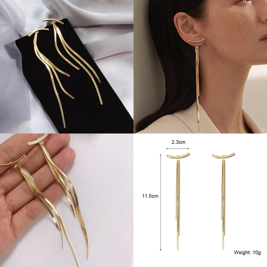 Elegant Metal Drop Earrings With Snake Bone Chain For Fashionforward Unisex Jewelry