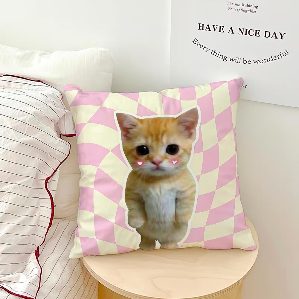 banana cat meme abstract funny painting Comfortable soft Pillow Case for Sofa Living Room Home office Decor Protective Covers