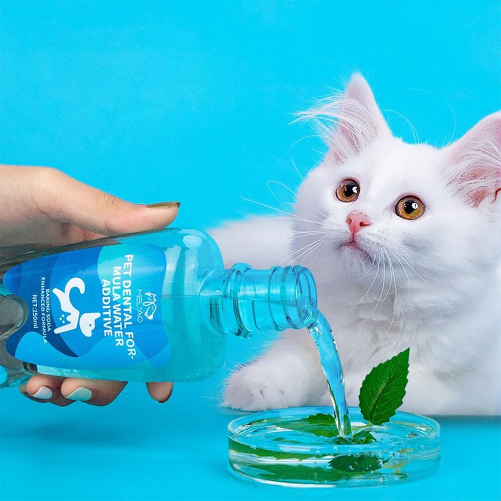 Premium Köpek Diş Bakımı ve Köpek Nefes Tazeleyici - Fırçasız Diş Tartarı ve Plak Giderici Köpek Dişleri İçin 250ml