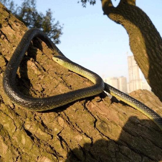 Yousheng Fake Snake Realistic Scales Creative Simulation Snake Prank Toy for Kids