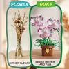 323Pcs Phalaenopsis Potted Plant Building Block Orchid Bricks Flower Model Puzzle Toys Sets New Year Christmas Birthday Gifts