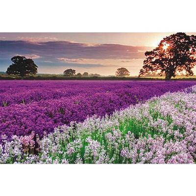 Collection of Jigsaw Puzzles, Korean Popular Puzzles