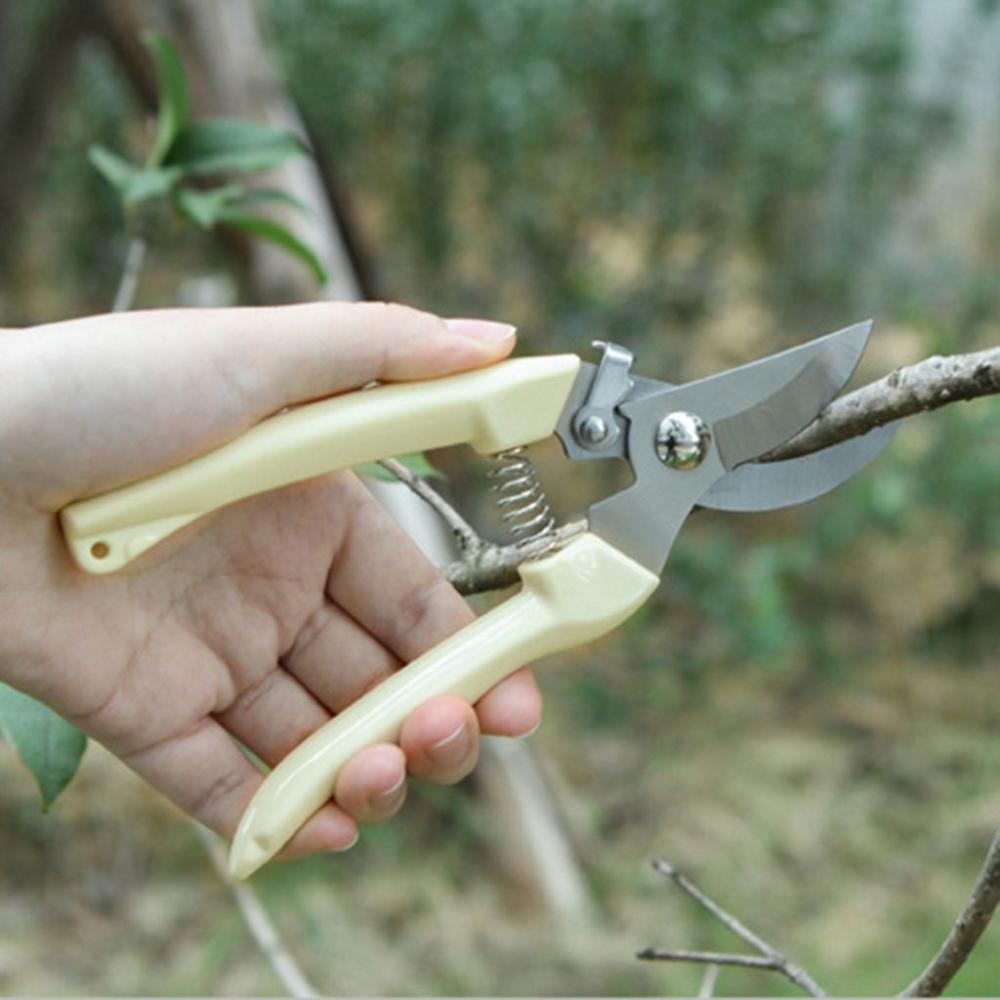 Comfortable Grip Straight/Bent Head Branch Shears Garden Supplies Pruning Shears Grafting Tool