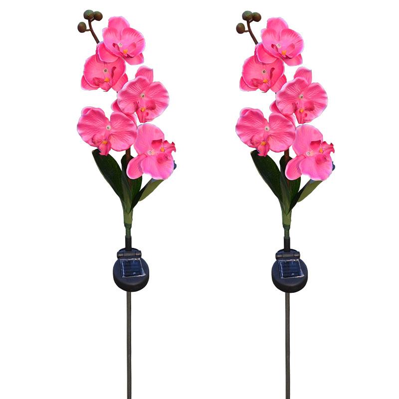 Outdoor Solar Lights, Waterproof Butterfly Orchid Garden Light, Decorative Flower 5 LED Lamp, Landscape Lighting for Lawn Patio Pathway Driveway