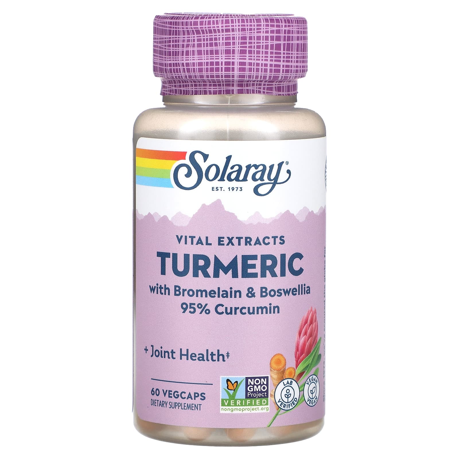 

Solaray, Turmeric, Special Formula, 60 Easy-Swallow Capsules