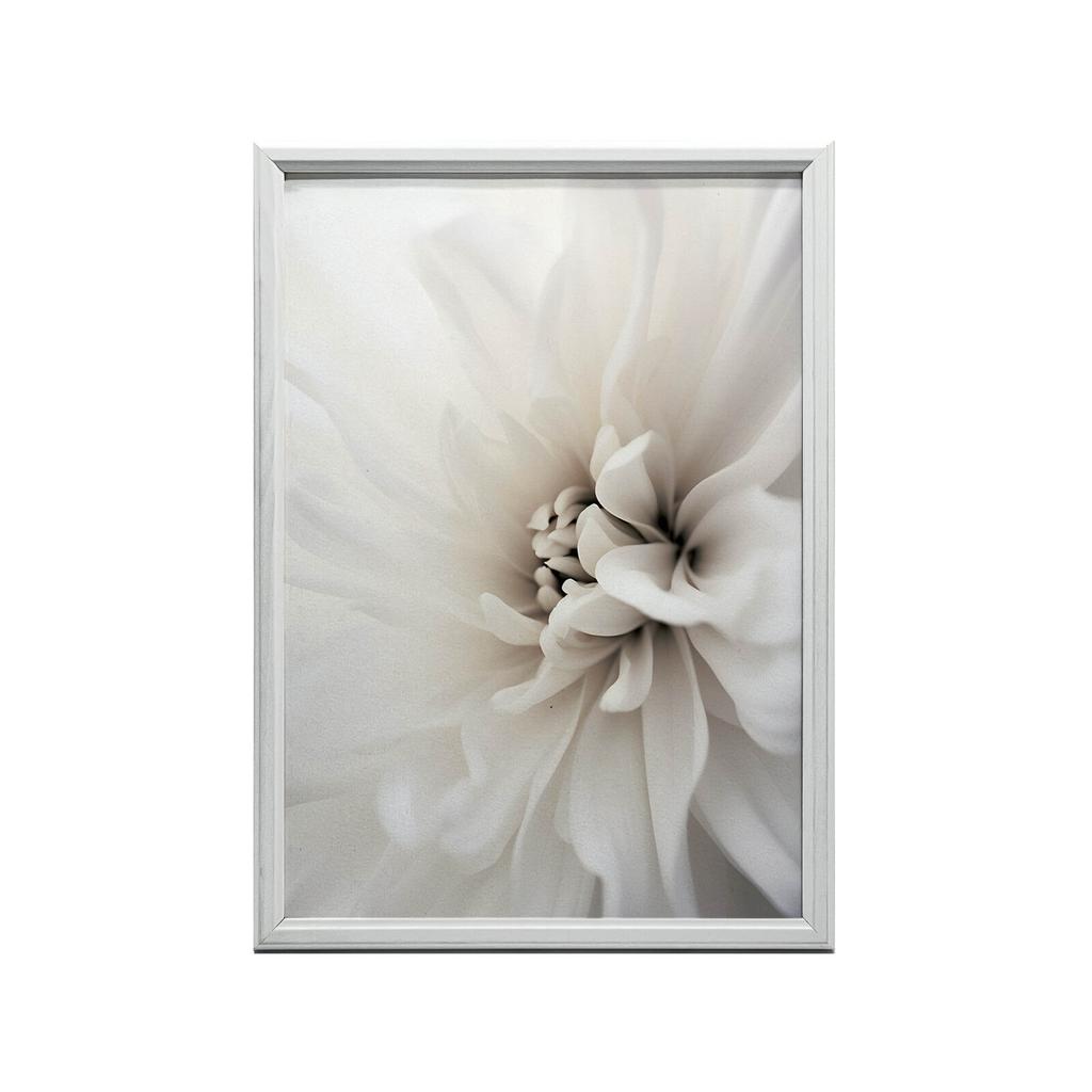 Delicate White Dahlia Delicate White Dahlia, 30X40 Cm, Dark Brown Wooden Frame, 230 Gsm Matte Paper