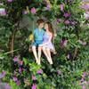 Luminous couple swing flower fairy, hanging, decorative craft, resin material, fluorescent wing fairy
