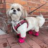 4pcs/Set Waterproof Pet Dog Shoes Chihuahua Anti-Slip Rain Boots Footwear for Small Cats Dogs Puppy Dog Pet Booties
