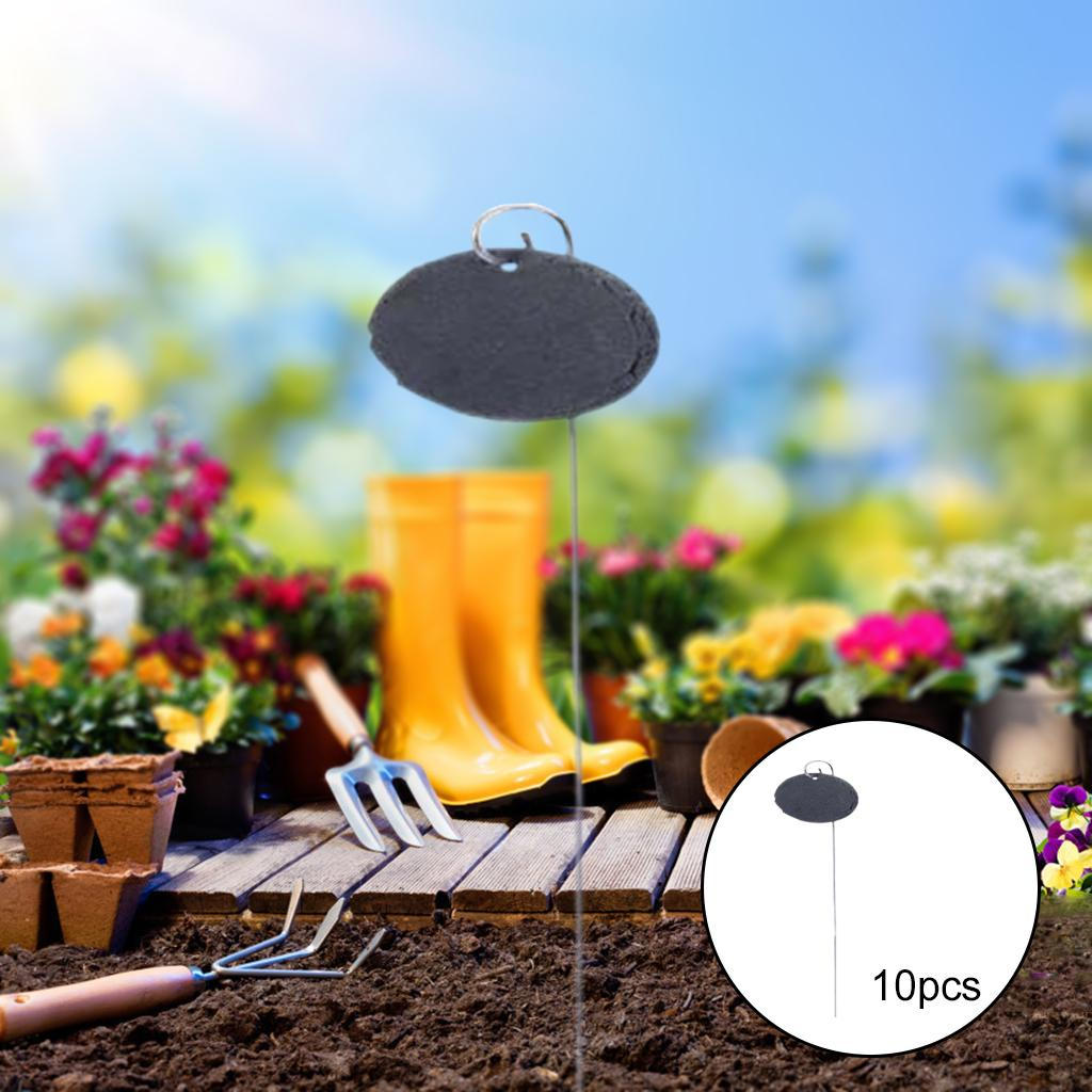 Labels 10Pcs Signs Garden Markers Slate for