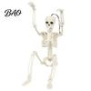Lightweight Props for Indoor Displays Realistic Halloween Skeleton Figure, 40cm Posable Joints Hanging Skull Decoration, Weather Resistant Ornaments