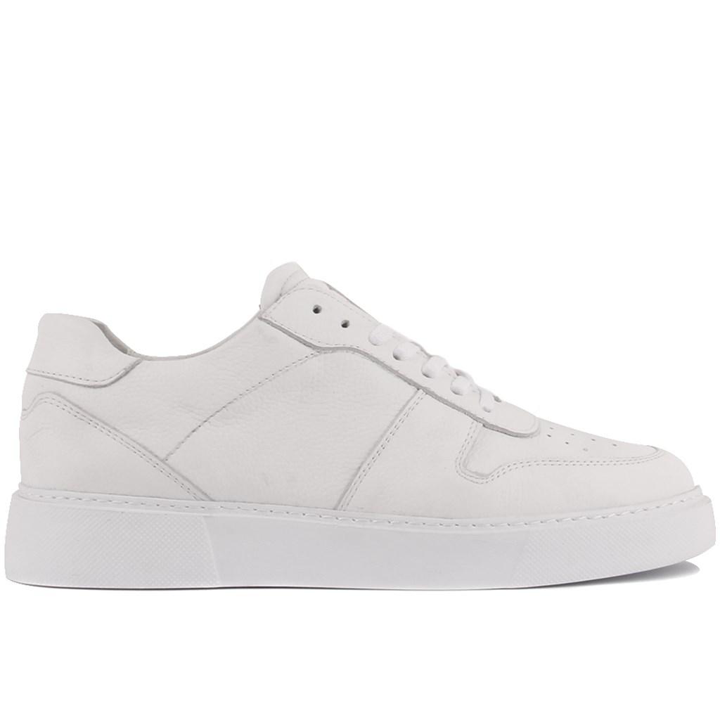 

Sail Lakers — женские белые кожаные повседневные туфли на шнуровке 36 белый