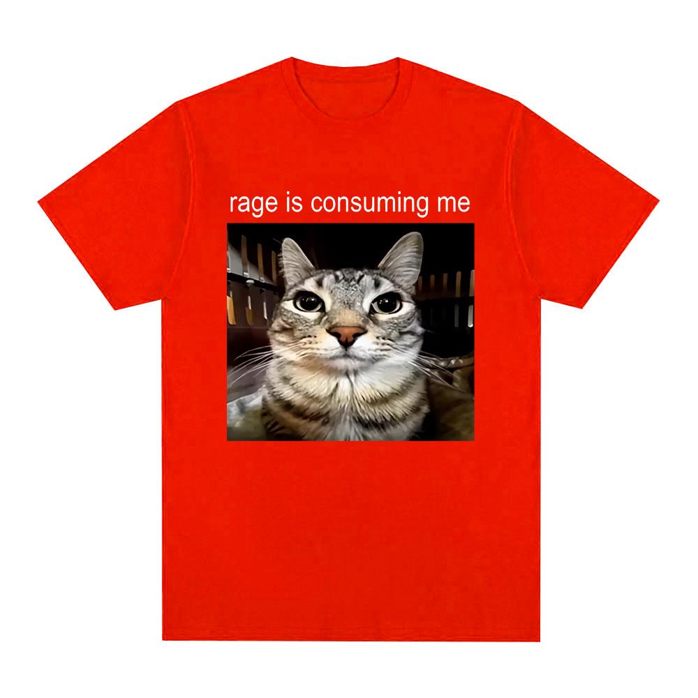 Rage Is Consuming Me Silly Staring Cat Meme Tee Shirt Casual Cotton Short Sleeve T-shirts Men Women Cat Lover T Shirt Oversized
