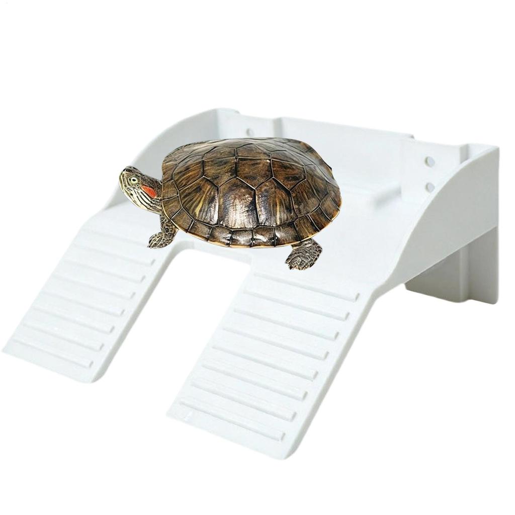 Turtle Tank Accessories With Food Holder Ramp Aquarium Decor Basking Area For Turtle Tank For Climbing Enrichment Resting