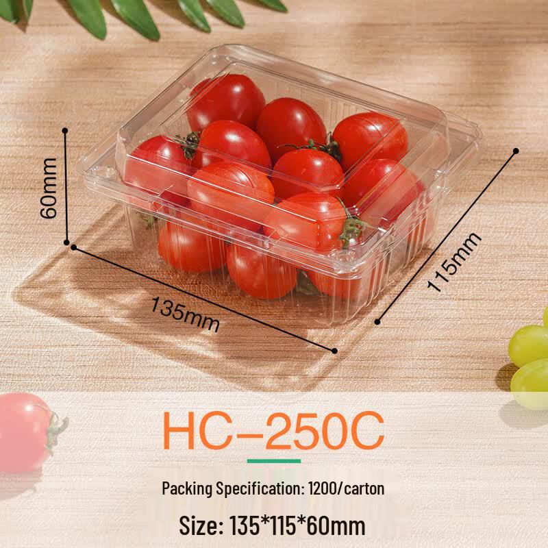 Clear Rectangular Disposable Food Containers with Lids