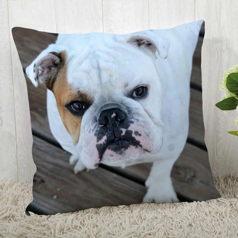 Pillowcase Bulldog  Modern Home Living Room Decoration