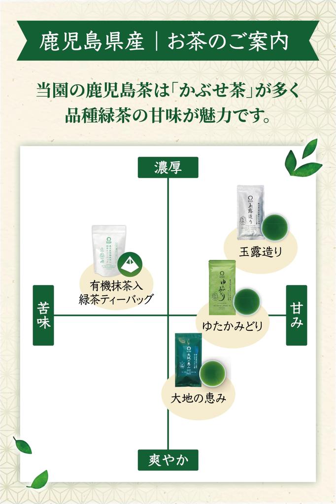 Limited-Time Offer [Shunpo Tea Garden] Sencha Tea Bags [Kagoshima Organic MatchaGreen Tea Tea Bags, 120g, 20 Tea Bags] Japanese Tea, Tea Bags, Tea