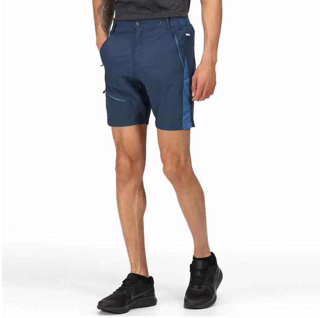 Regatta Highton Pro shorts