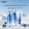 Snow Domain Skincare Set (Cleanser, Toner, Emulsion)