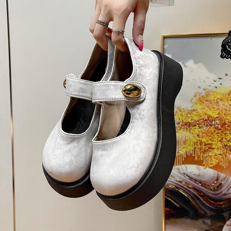 Round Head Printing Gentle New Chinese Thick Heel Mary Jane Shoes Women 2025 Autumn New Fairy Casual Platform Shoes