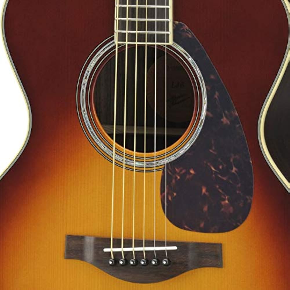 Yamaha acoustic guitar LJ6 are BS equipped with passive type pickup