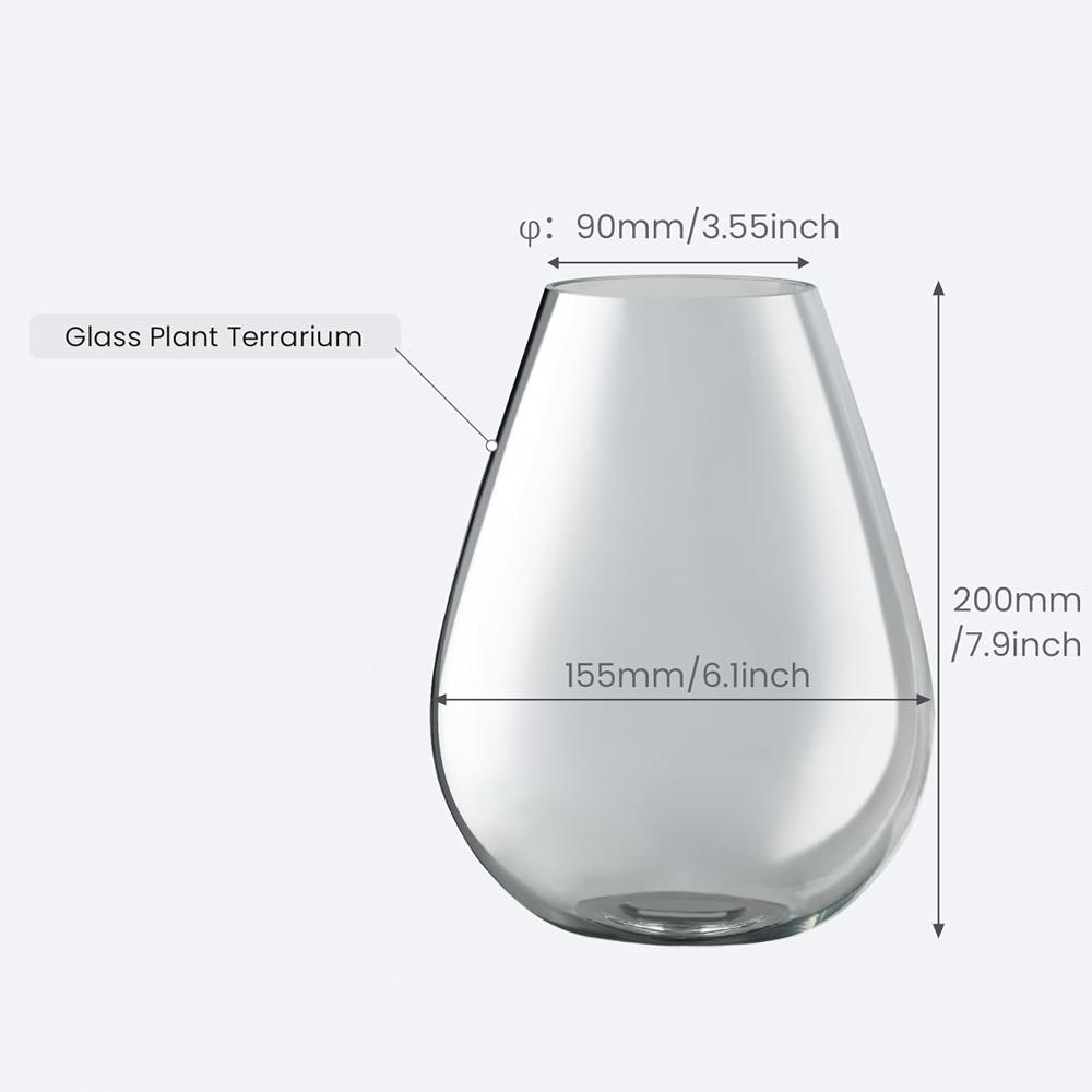 Terrario Piante in Vetro con Luce LED per la Crescita Terrario in Vetro Borosilicato con Ventilazione Regolabile e Timer, per Pianta Carnivora, Muschio