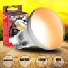Reptil 40W/60W UVA UVB Sonnenlicht Intensiver Sonnenplatz Simulierte Natürliche Sonnenstrahlung Reptilien Heizlampe für Echse Schlange Schildkröte