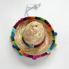Cat Sombrero Cat Hats Bandana Scarf Rainbow Scarf Pet Straw Hat Cinco De Mayo Pet Hats Mini Sombrero Hat for Cat Puppy Small Dog