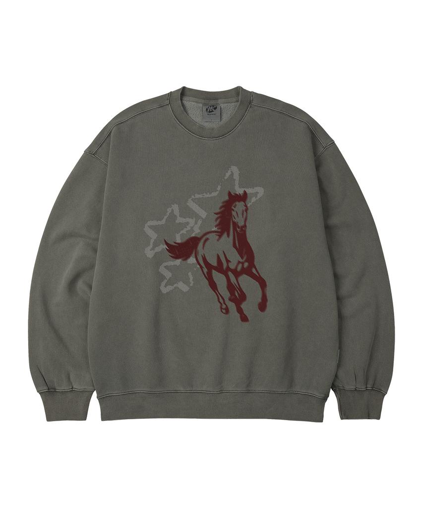 WILDROCK Star Horse Pigment Oversized Sweatshirt_5 Col