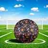 1pc Birds Bloom Theme Soccer Ball Football, Size 5, Lightweight PVC, Outdoor Training Soccer Ball,Sports Gift t61419