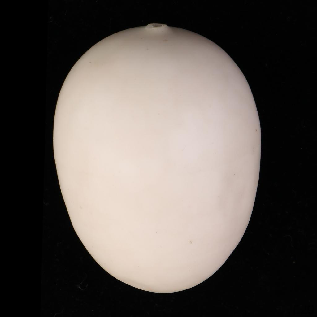 Food Artificial Vegetables