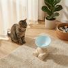 Erhöhte Futterschale für Haustiere mit Nackenstütze, große Kapazität, Katzennapf für Katzen
