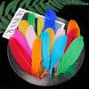 50 Colored Goose Feathers for DIY Dreamcatchers and Art Projects