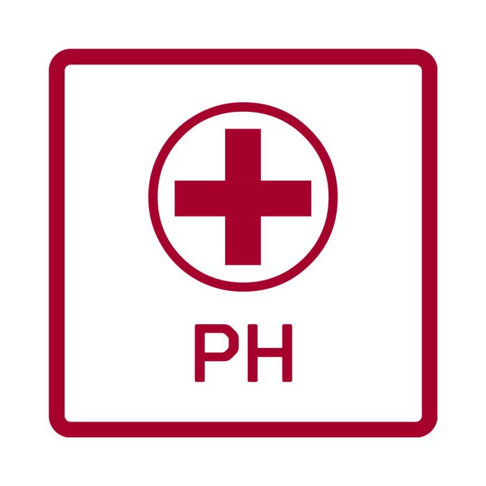 Screwdrivers sets Jeu de tournevis VDE Phillips (PH) + fente 6 pièces - Gedore Red