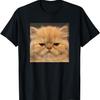 Funny Disappointed Persian Cat Kitten Face Meme T-Shirt