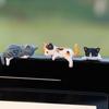 Cat Car Dashboard Decor Car Cartoon Display Screen Decor 5PCS Cute Display Screen Charm Portable Ornaments For Vehicles Home