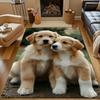 Adorable Golden Retriever Puppies Patterned Carpet, Non Slip Mat Suitable for Living Room and Bedroom Sofas