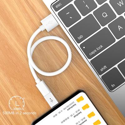 USB Buchse auf Typ C Stecker Konvertierungsadapter Konverter Unterstützen Laden & 30 Mbit/s Datenübertragung Weiß/Schwarz