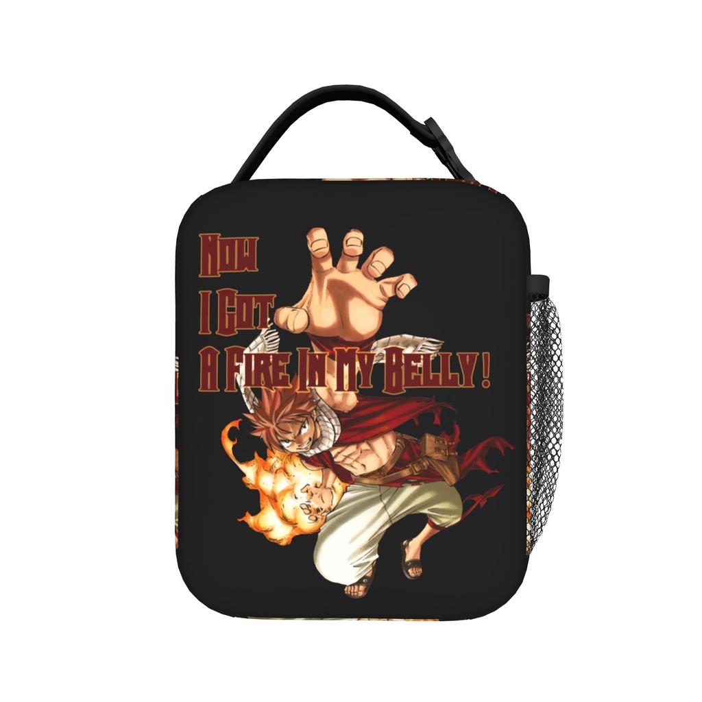 Fairys Tails Insulated Lunch Bags Large Anime Lunch Container Thermal Bag Lunch Box Tote Travel Food Storage Bags