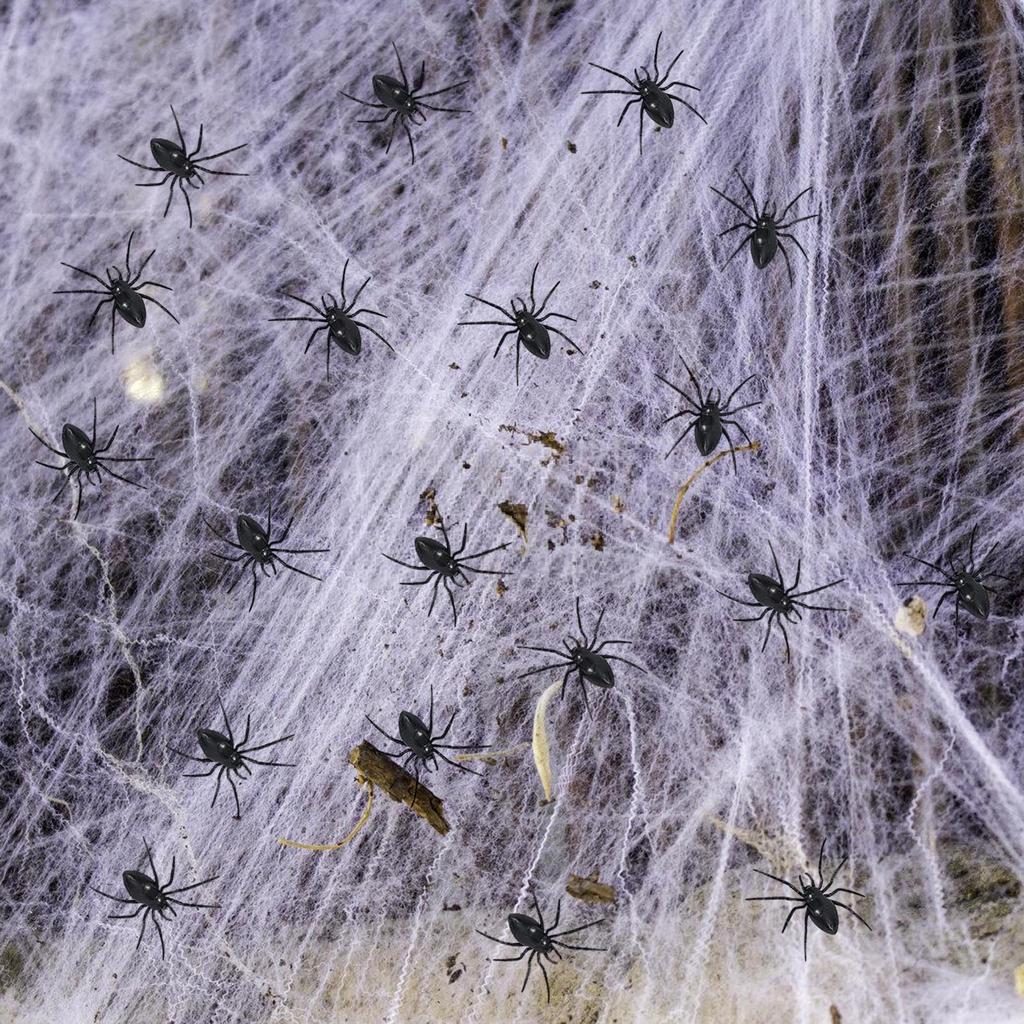 Pack Of 10 Realistic Plastic Halloween Spider Decorations Halloween Party Supplies For Home Office Party Scary Props