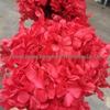 Multi-Color Preserved Bigleaf Hydrangea Single Stem Flower Bouquet for Home Decoration